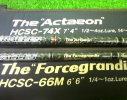 エバーグリーン・ヘラクレス　シマノ・００メタニウムＭｇ　ダイワ・ジリオン１００Ｈ　（茨木店）